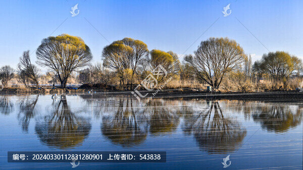 魚塘春色
