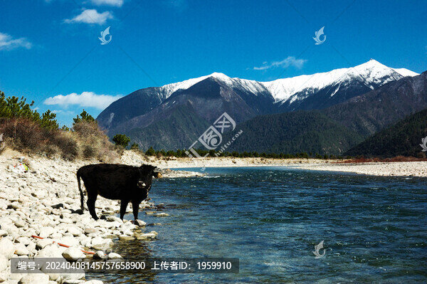 羊湖