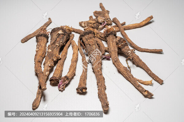 蒲公英根