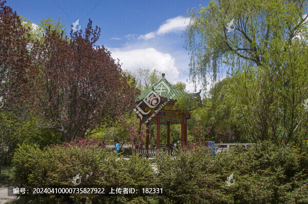 宗角祿康公園園林綠蔭