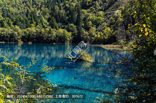 四川九寨溝風(fēng)光