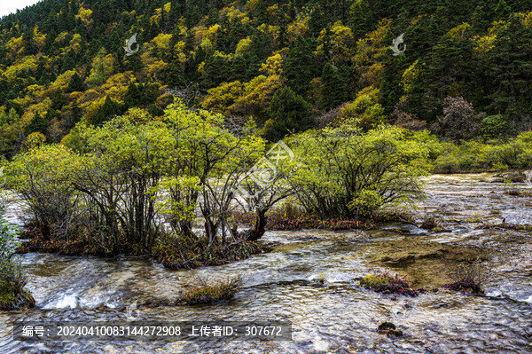 四川黃龍風(fēng)光