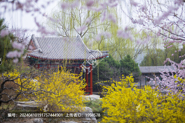 桃花