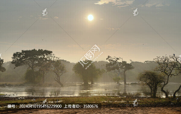 斯里蘭卡雅拉國(guó)家公園