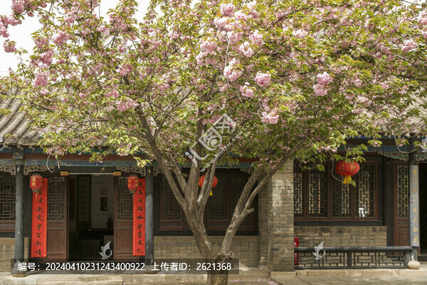 櫻花古建筑