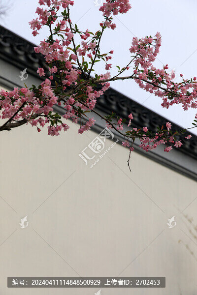 鹽城中華海棠園