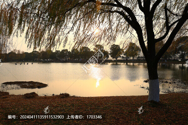 長沙橘子洲頭公園景區(qū)