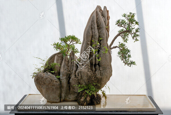 奇石景觀盆栽