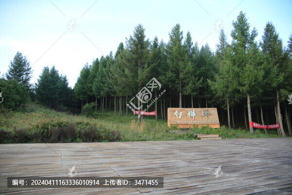 白樺坪