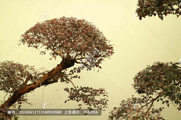 園林景觀