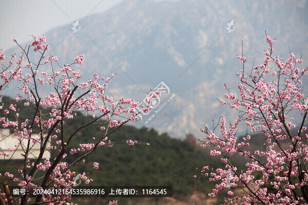 日照石老山風(fēng)景區(qū)