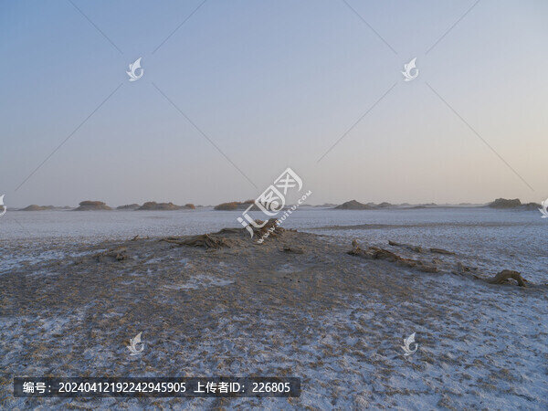 鹽堿地