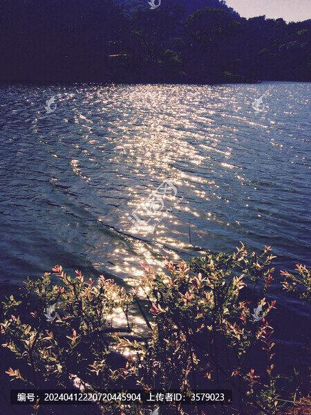 湖面傍晚