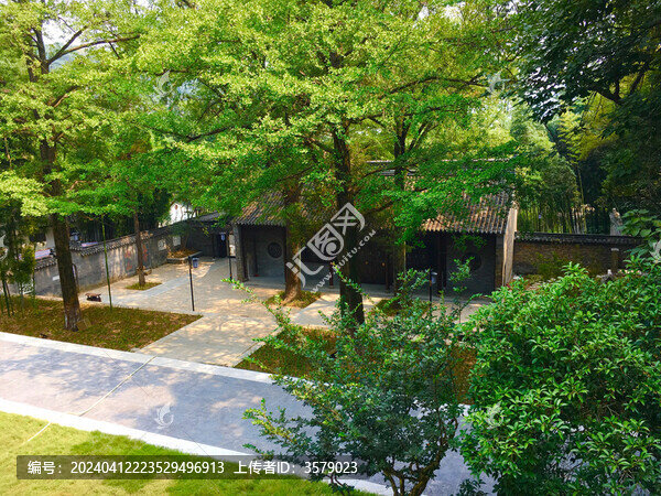 寺院竹林寺庭院