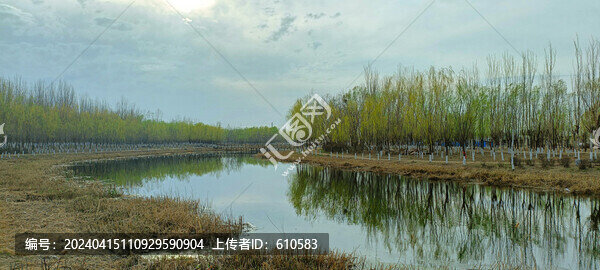 春天河邊綠樹(shù)倒映天色