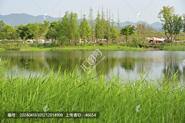 廣陽島上好風光