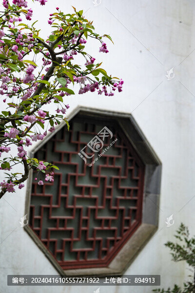 拙政園