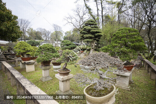 盆景園藝
