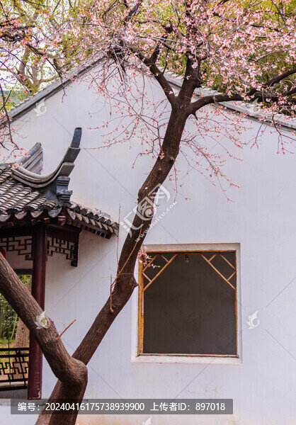紫竹院友賢山館