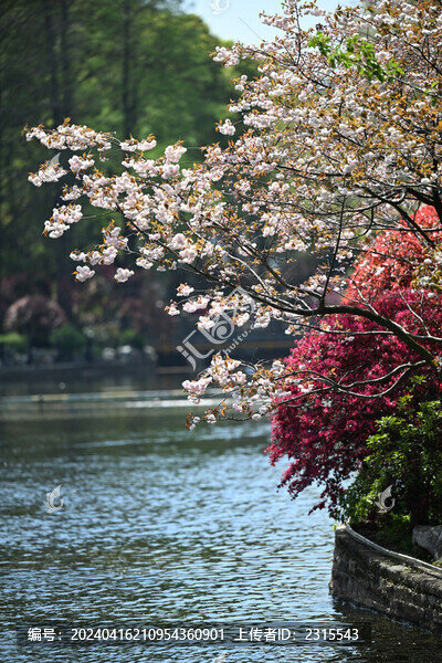 魯迅公園湖景