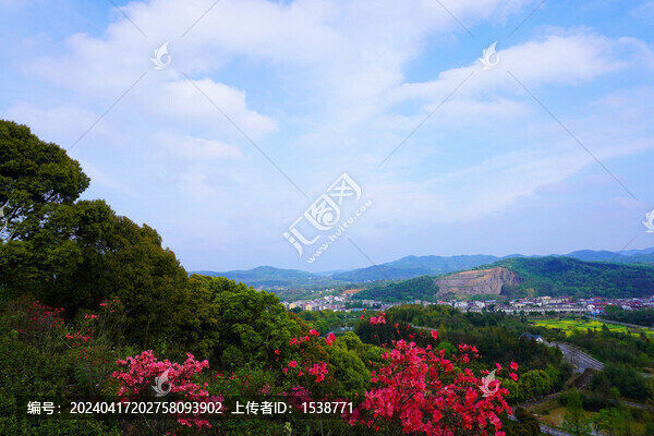 九一六茶園