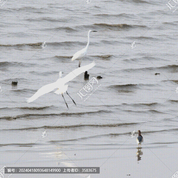 海邊