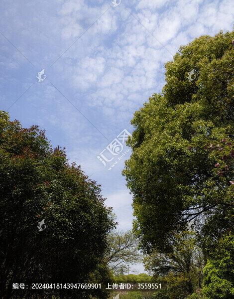 公園街景