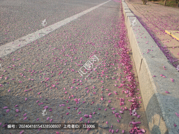 花瓣凋落