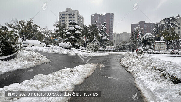雪景