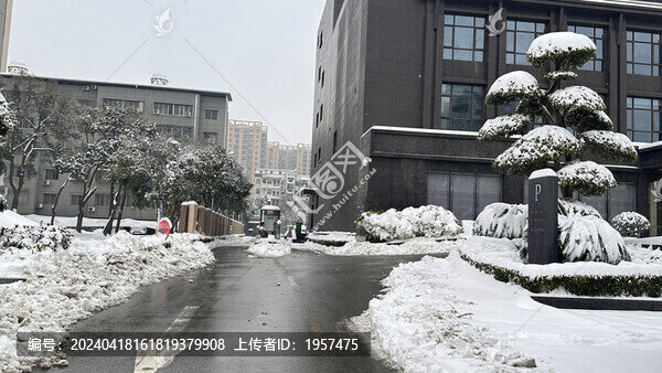 雪景