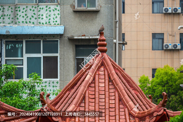 中式廟宇建筑