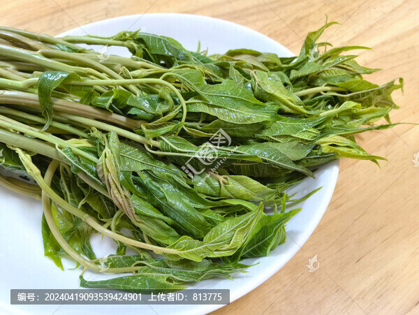 焯水鮮香椿