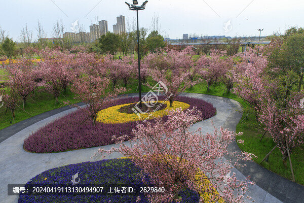 鹽城中華海棠園