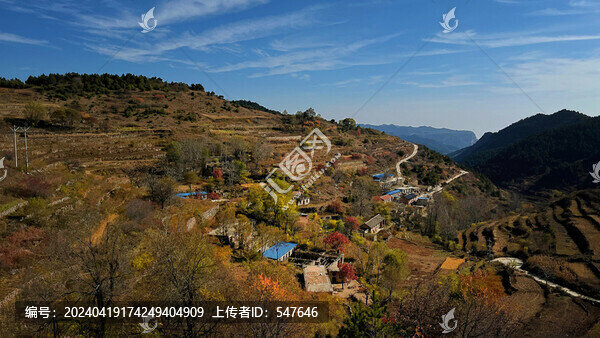 山