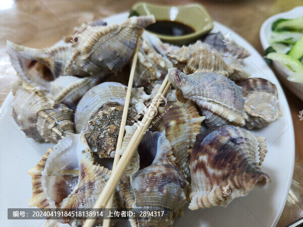 海螺