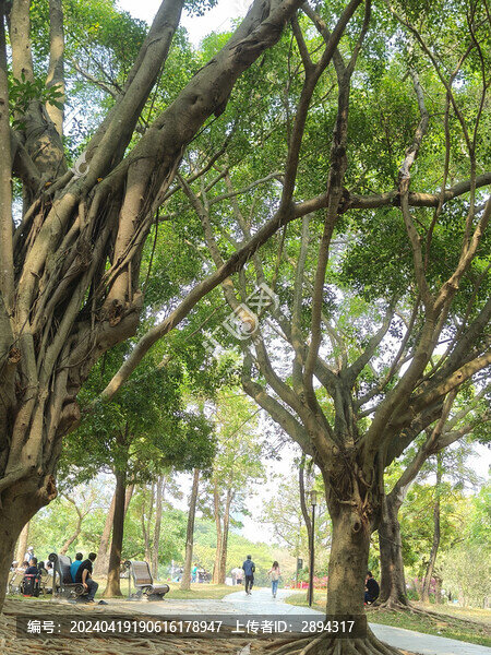 蓮花山公園