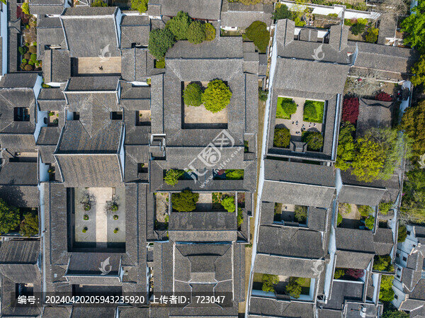 蘇州拙政園