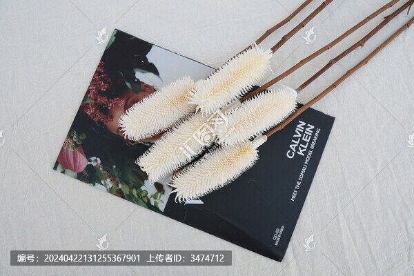 拉毛果
