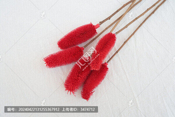 拉毛果
