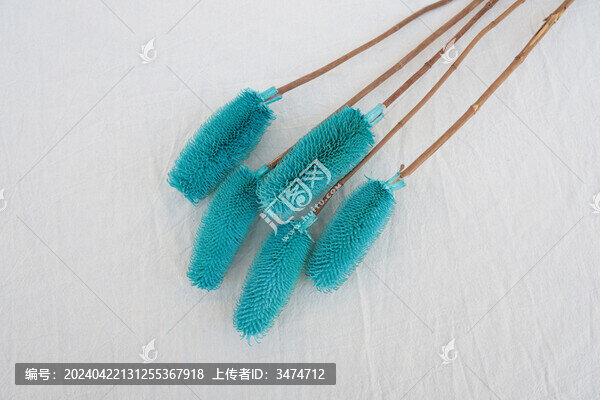拉毛果