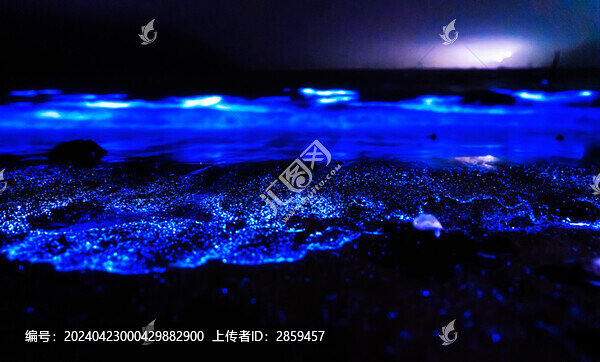 藍(lán)眼淚之海