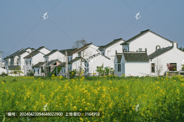 美麗鄉(xiāng)村