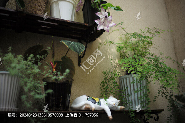 鐵線蓮下的貓咪
