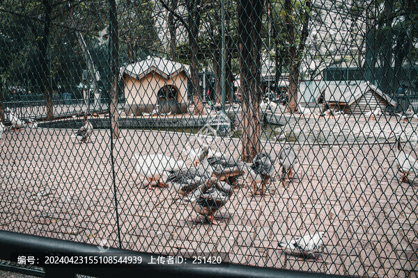 蘭州市動(dòng)物園