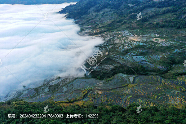 梯田云海