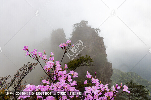 廣西金秀圣堂山丹霞險峰霧海景觀