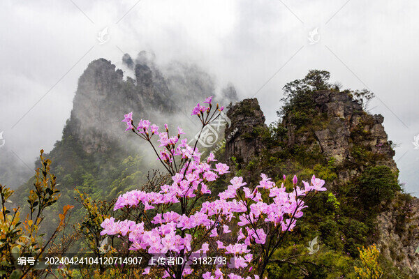 廣西金秀圣堂山丹霞險(xiǎn)峰霧海景觀
