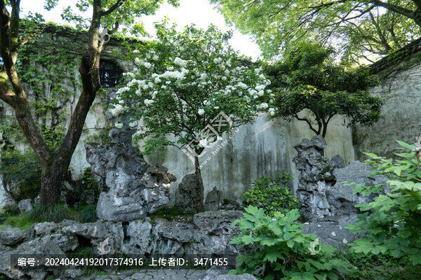 庭院設(shè)計(jì)