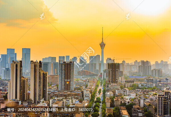 成都339電視塔杉板橋城市夜景
