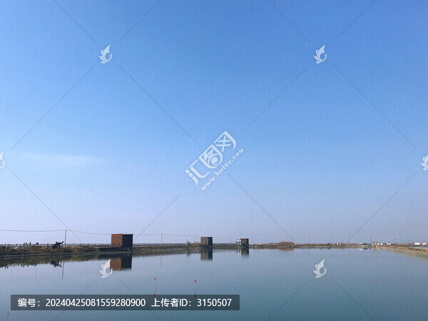 鴨綠江口濕地一景